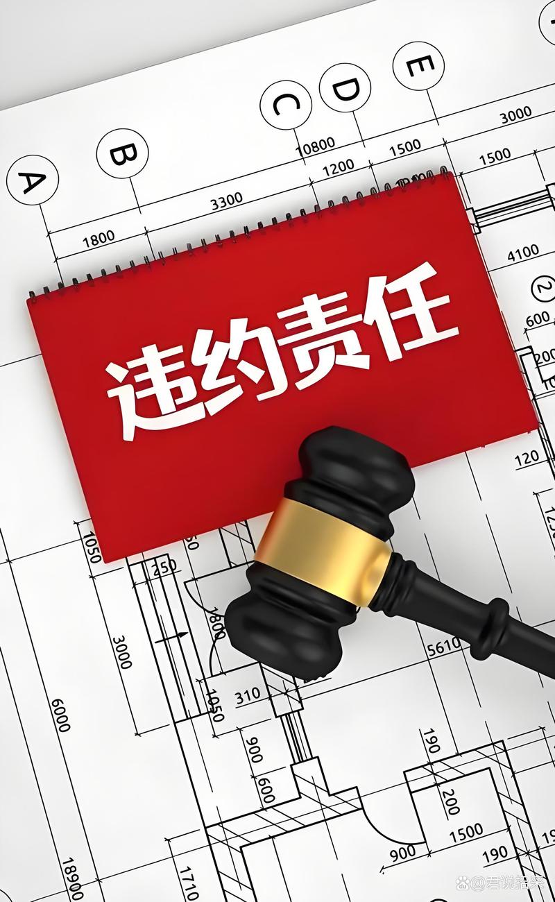 第三方监管机构在行业规范中的重要作用